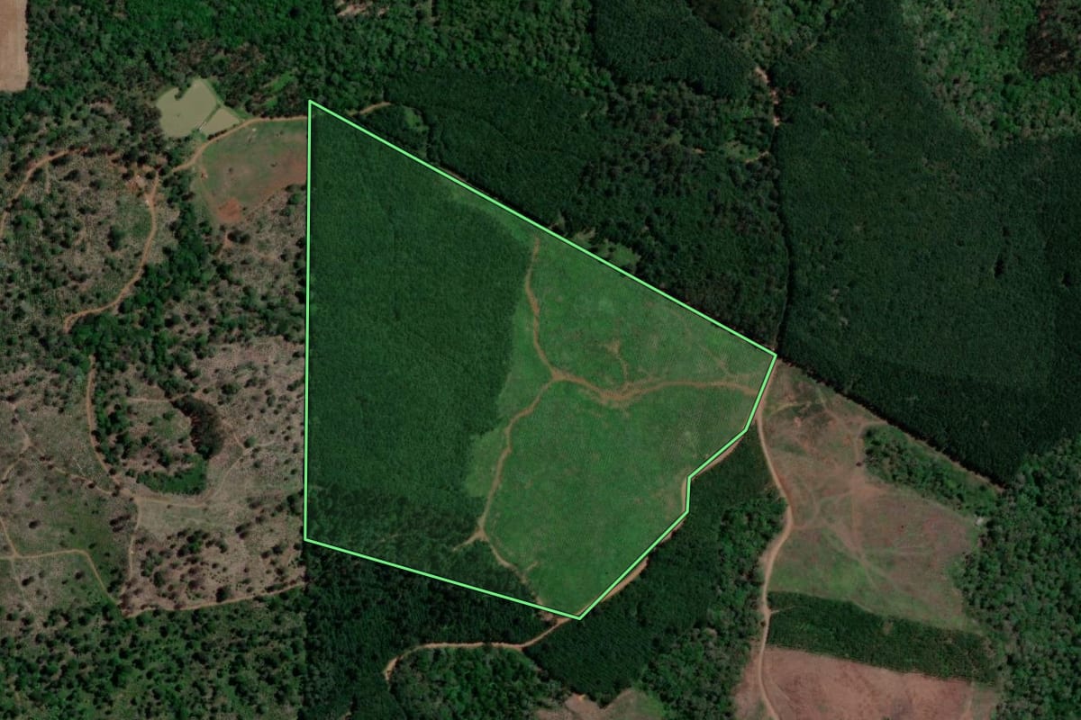 Imagem de satélite do imóvel rural em Bituruna (PR), com o contorno declarado no CAR desenhado por cima.