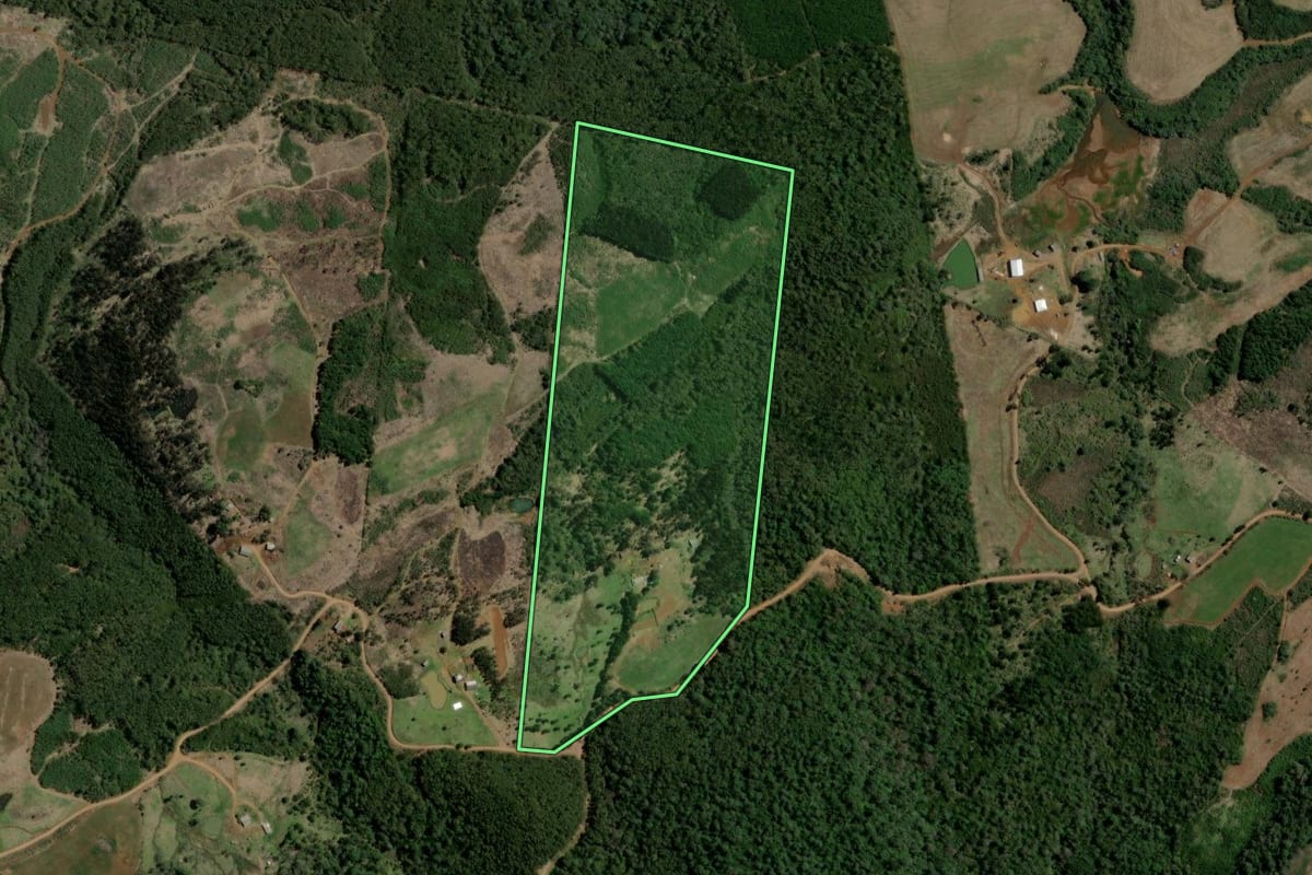 Imagem de satélite do imóvel rural em Bituruna (PR), com o contorno declarado no CAR desenhado por cima.
