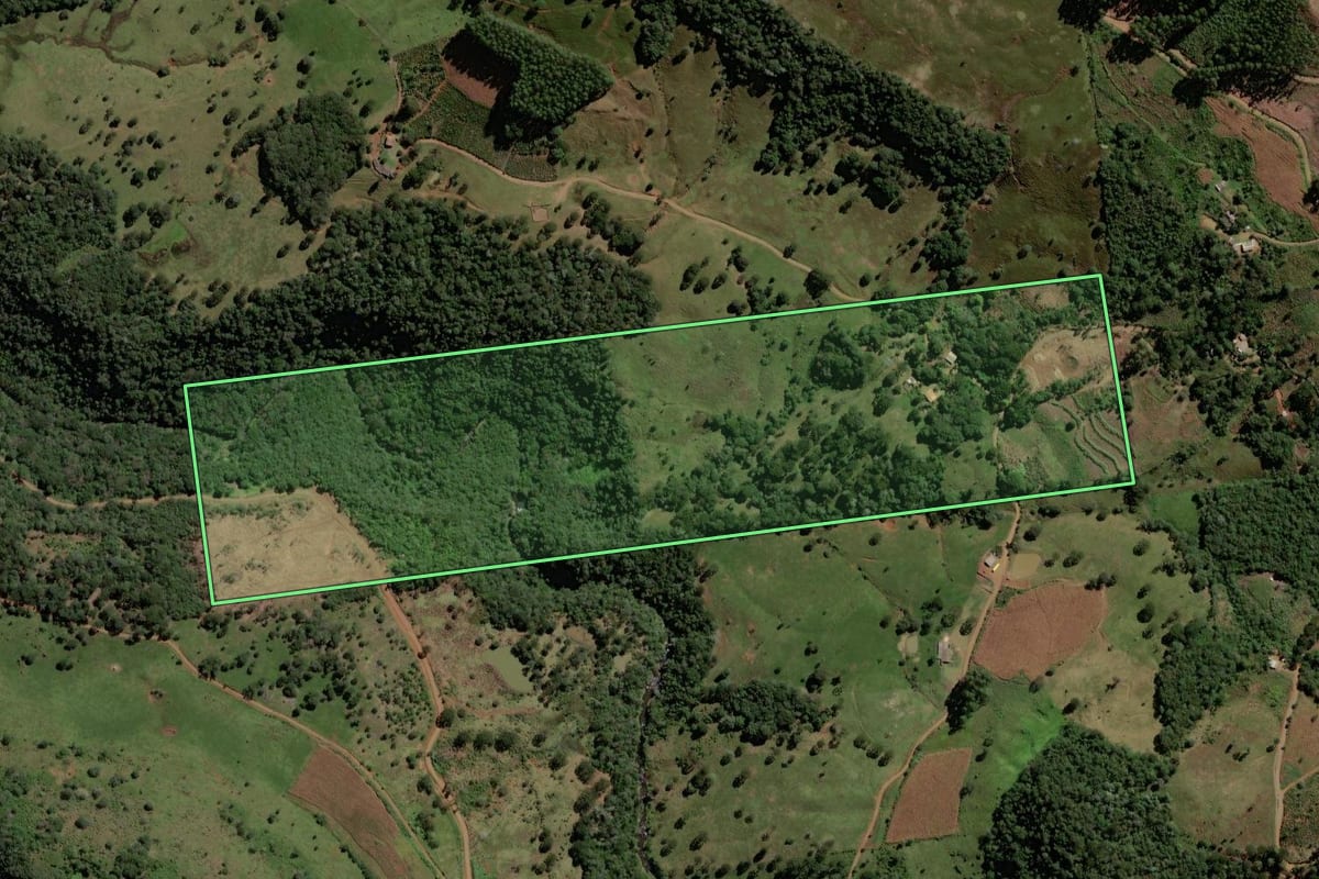 Imagem de satélite do imóvel rural em Bituruna (PR), com o contorno declarado no CAR desenhado por cima.