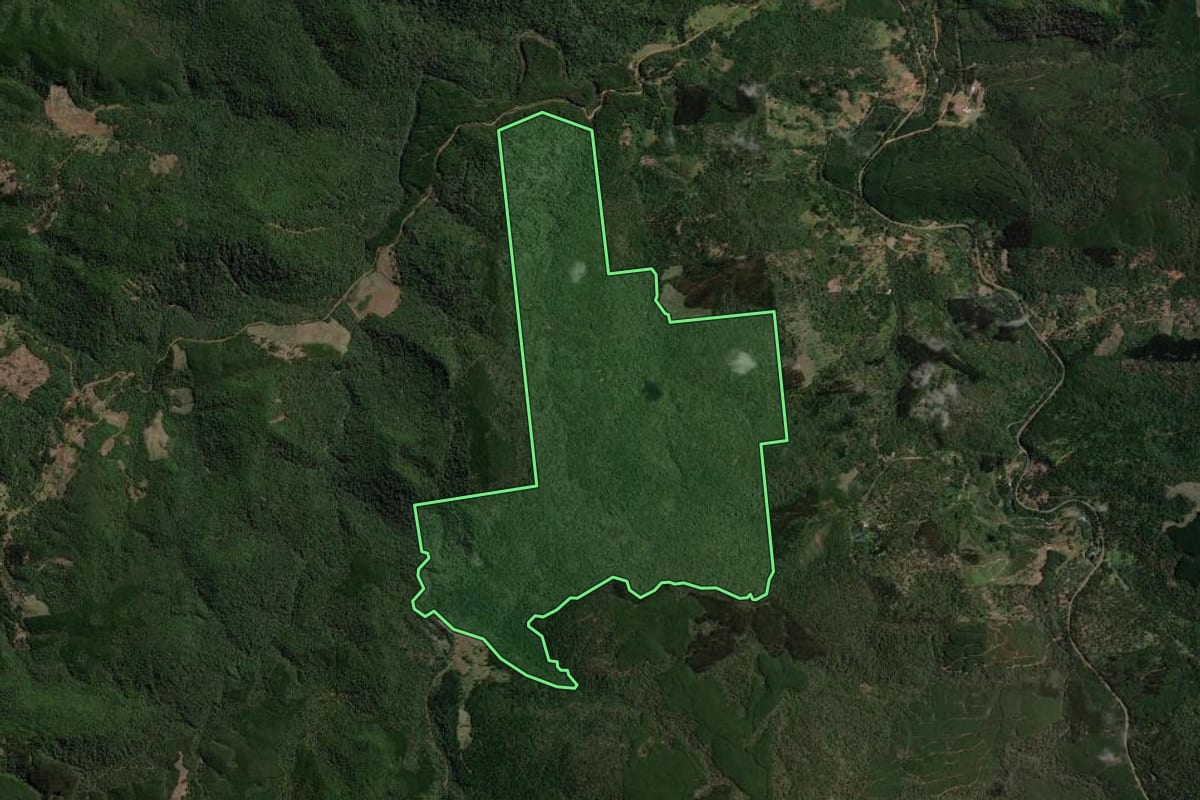 Imagem de satélite do imóvel rural em Bituruna (PR), com o contorno declarado no CAR desenhado por cima.