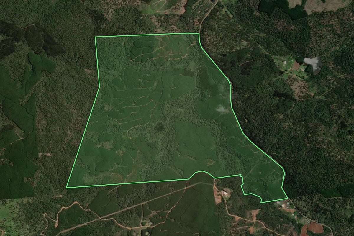 Imagem de satélite do imóvel rural em Bituruna (PR), com o contorno declarado no CAR desenhado por cima.