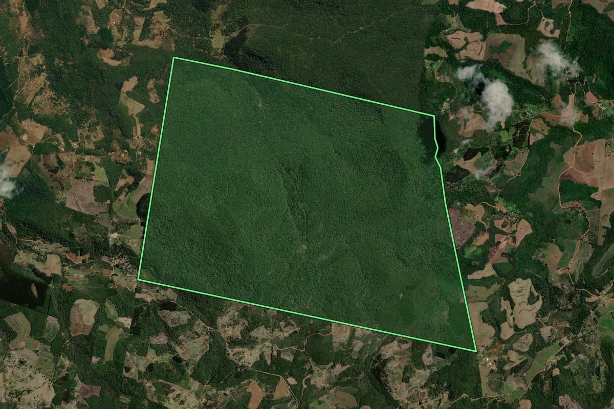 Imagem de satélite do imóvel rural em Bituruna (PR), com o contorno declarado no CAR desenhado por cima.