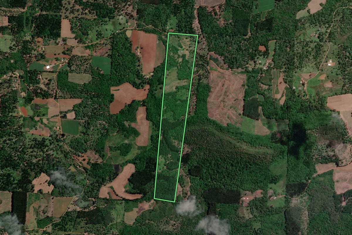 Imagem de satélite do imóvel rural em Bituruna (PR), com o contorno declarado no CAR desenhado por cima.