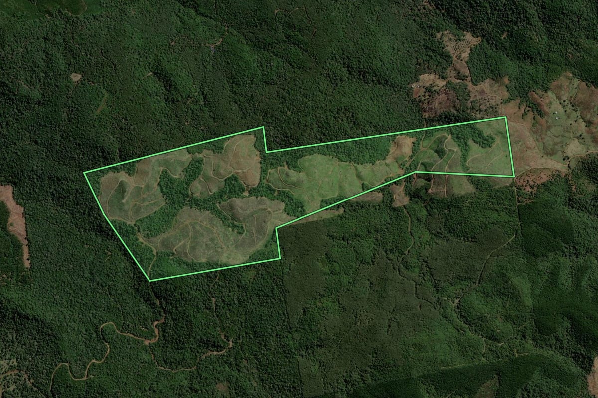 Imagem de satélite do imóvel rural em Bituruna (PR), com o contorno declarado no CAR desenhado por cima.