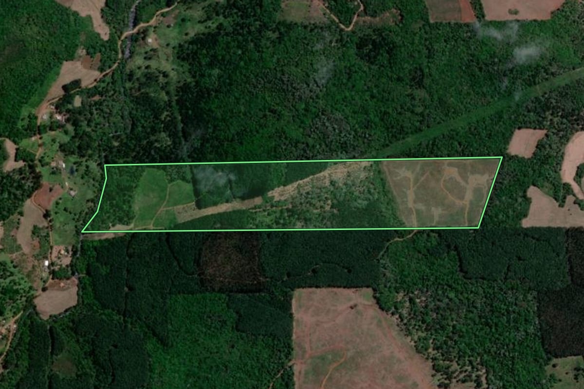 Imagem de satélite do imóvel rural em Bituruna (PR), com o contorno declarado no CAR desenhado por cima.