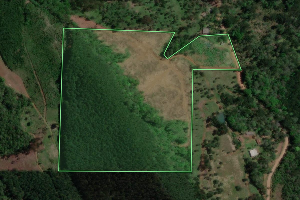 Imagem de satélite do imóvel rural em Bituruna (PR), com o contorno declarado no CAR desenhado por cima.