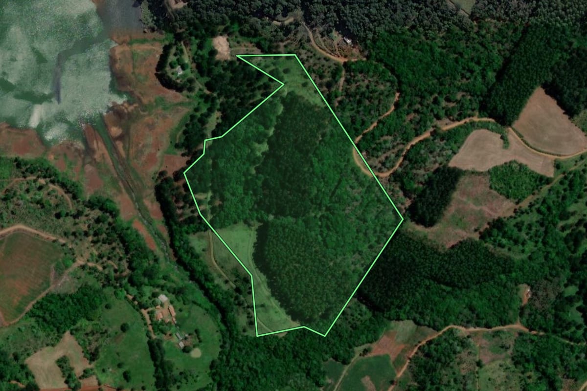 Imagem de satélite do imóvel rural em Bituruna (PR), com o contorno declarado no CAR desenhado por cima.