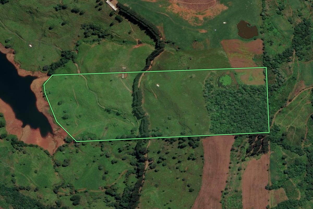 Imagem de satélite do imóvel rural em Bituruna (PR), com o contorno declarado no CAR desenhado por cima.