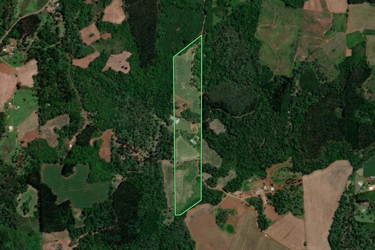 Imagem de satélite do imóvel rural em Bituruna (PR), com o contorno declarado no CAR desenhado por cima.