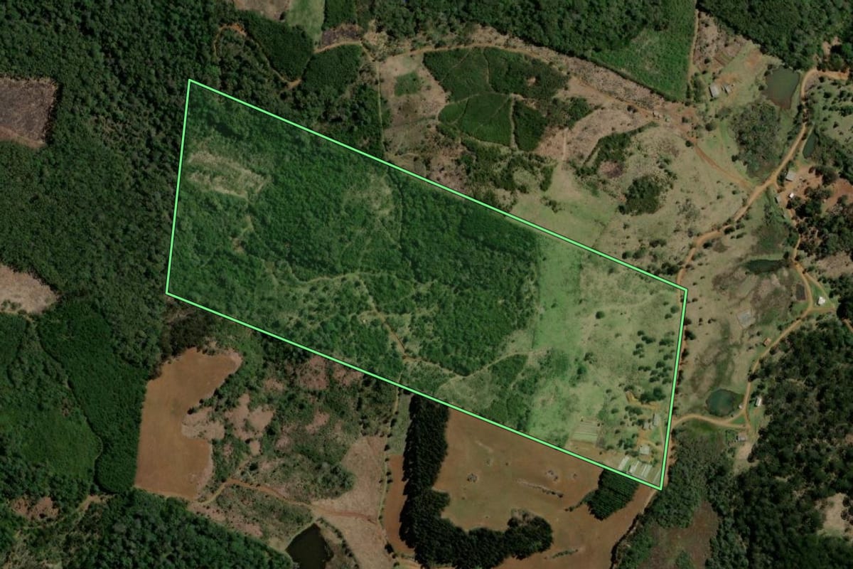 Imagem de satélite do imóvel rural em Bituruna (PR), com o contorno declarado no CAR desenhado por cima.
