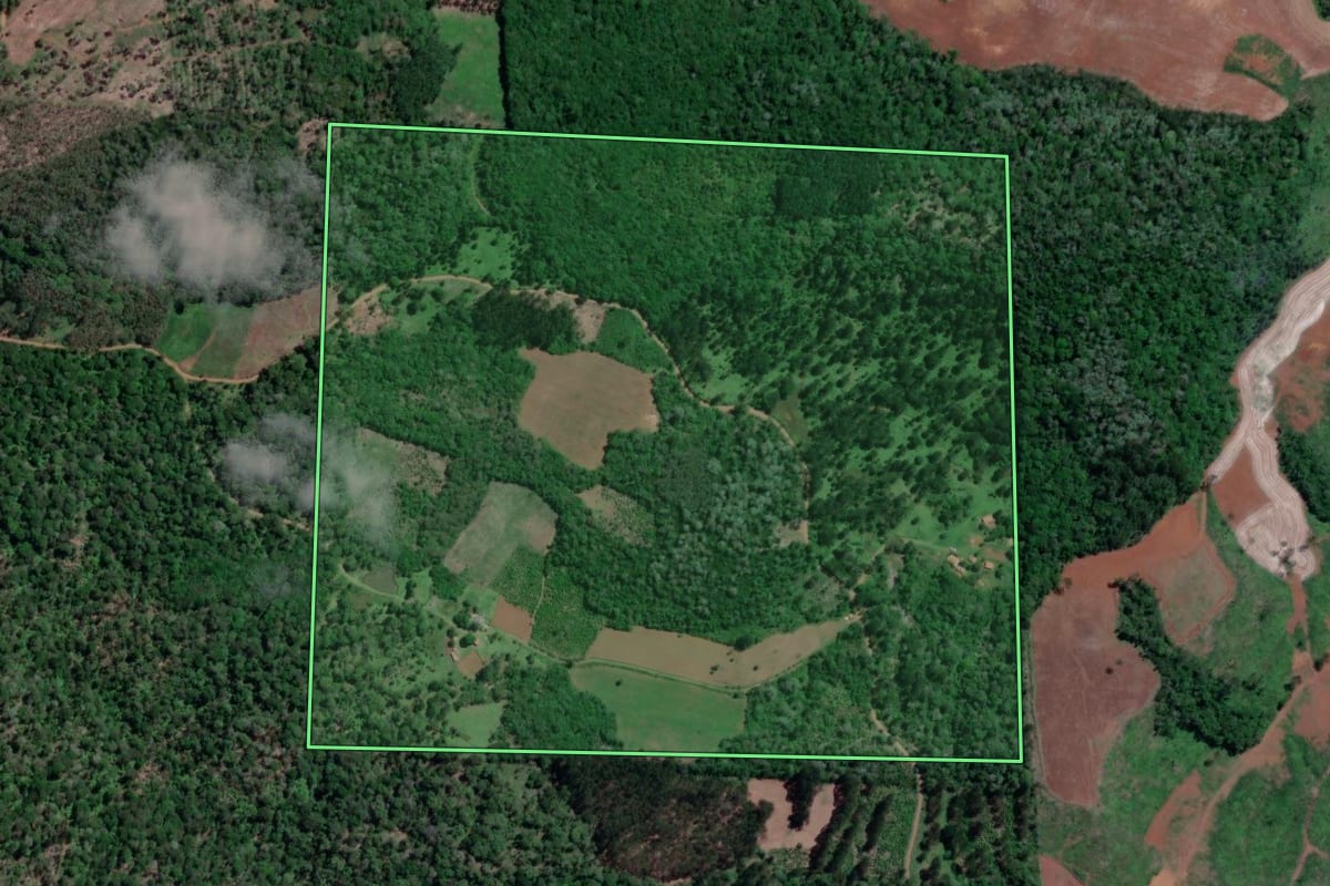 Imagem de satélite do imóvel rural em Bituruna (PR), com o contorno declarado no CAR desenhado por cima.