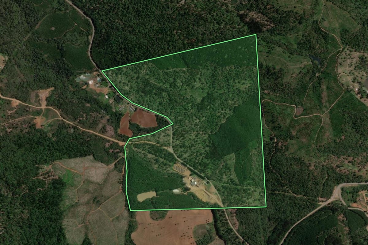 Imagem de satélite do imóvel rural em Bituruna (PR), com o contorno declarado no CAR desenhado por cima.