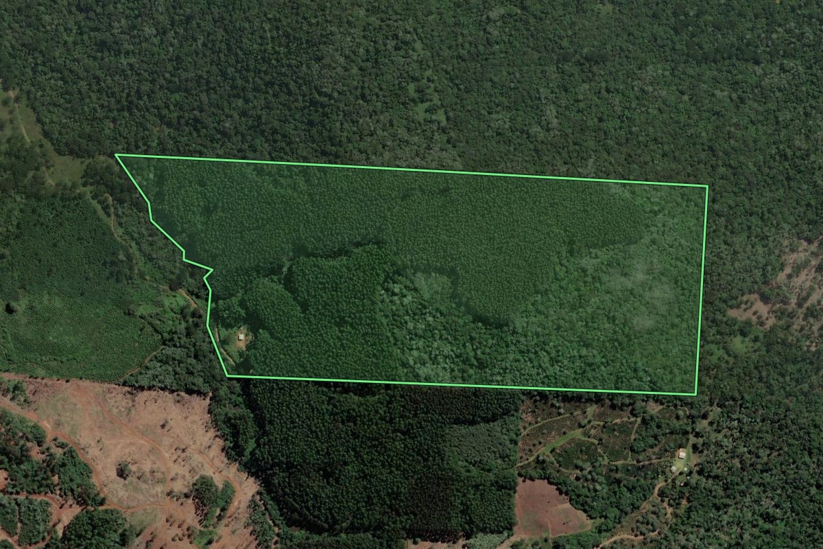Imagem de satélite do imóvel rural em Bituruna (PR), com o contorno declarado no CAR desenhado por cima.