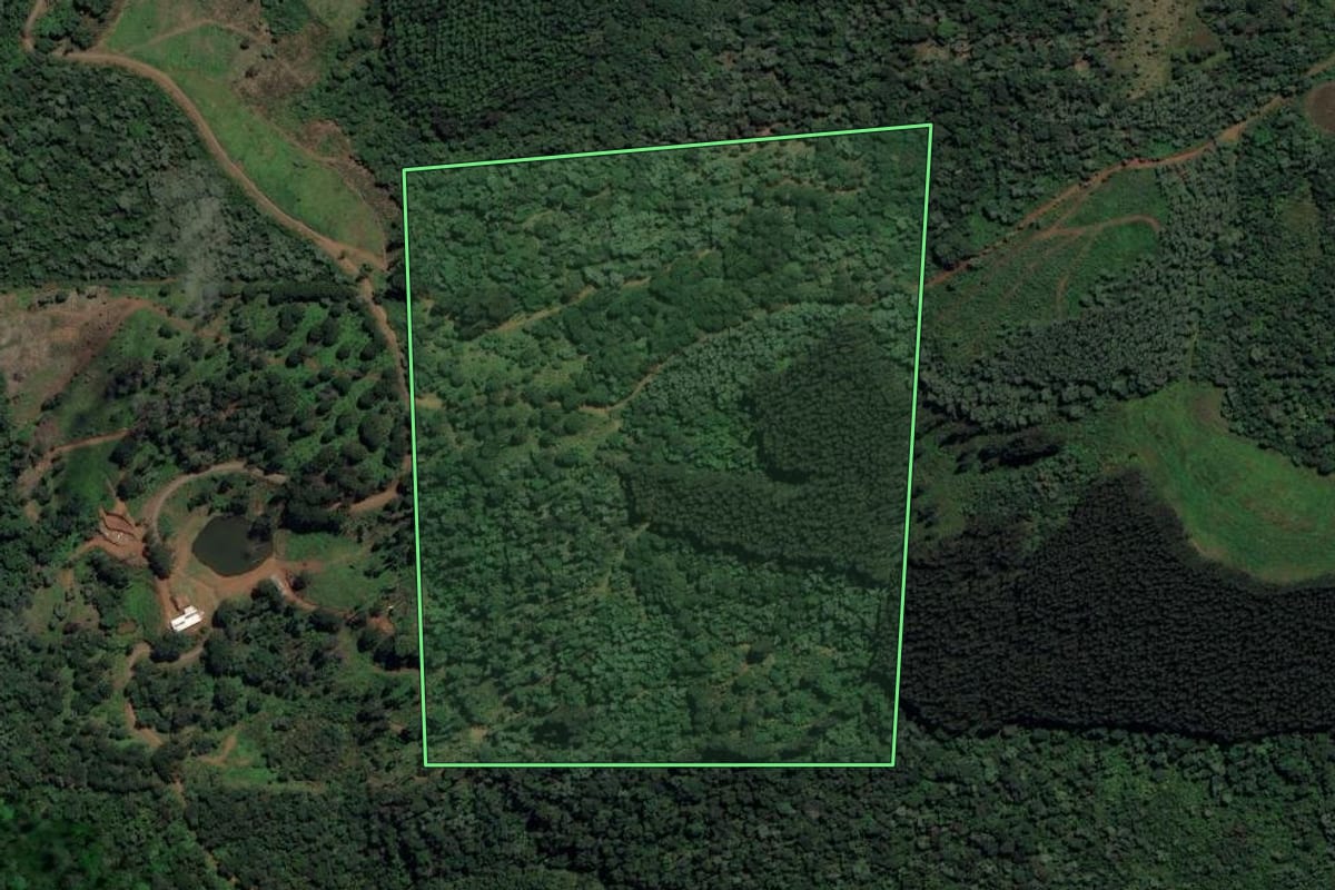 Imagem de satélite do imóvel rural em Bituruna (PR), com o contorno declarado no CAR desenhado por cima.