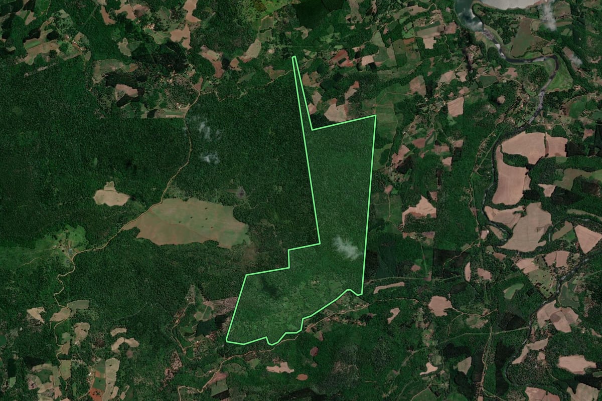 Imagem de satélite do imóvel rural em Bituruna (PR), com o contorno declarado no CAR desenhado por cima.