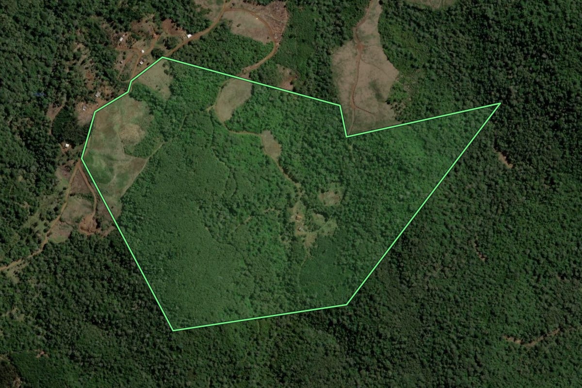 Imagem de satélite do imóvel rural em Bituruna (PR), com o contorno declarado no CAR desenhado por cima.