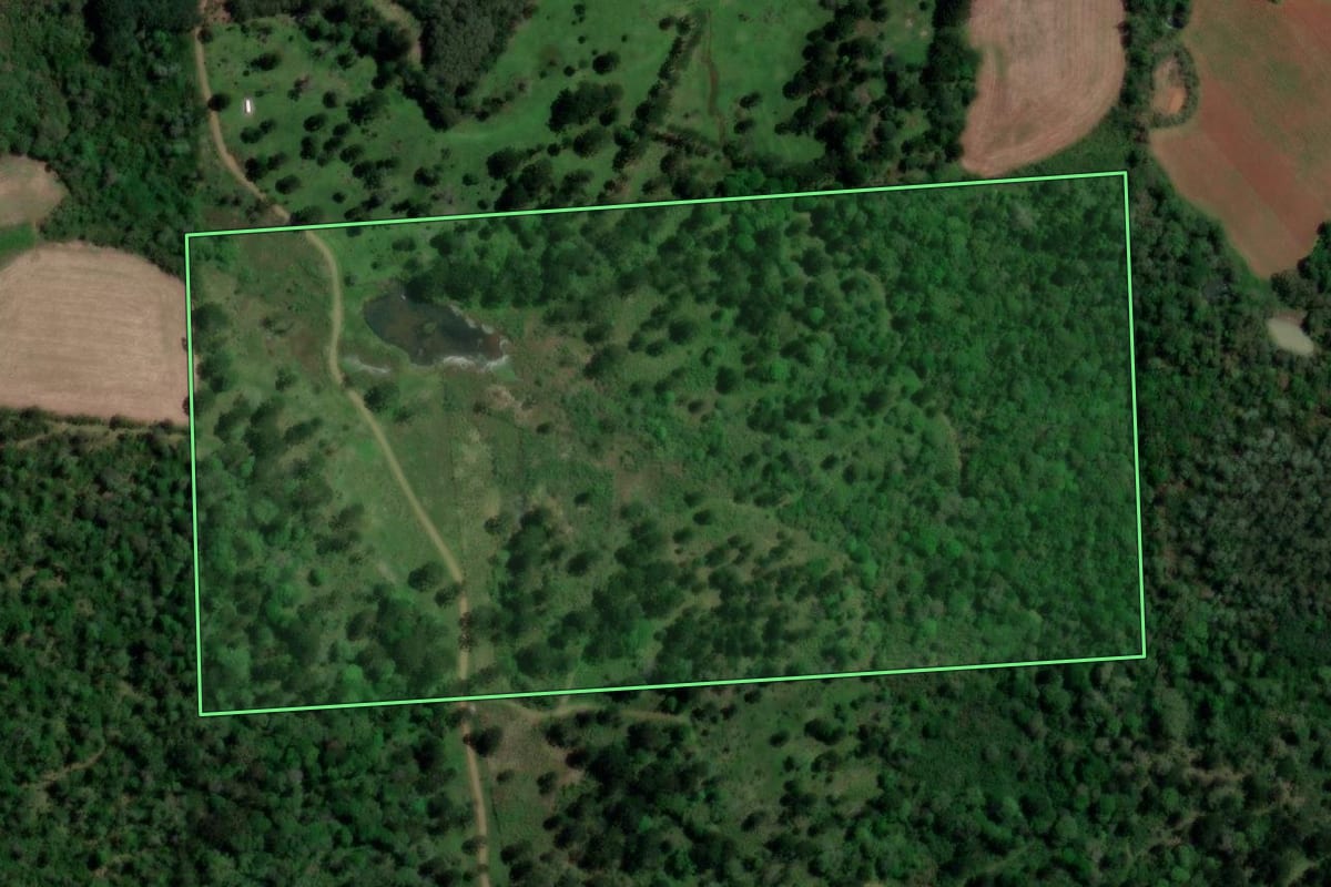 Imagem de satélite do imóvel rural em Bituruna (PR), com o contorno declarado no CAR desenhado por cima.