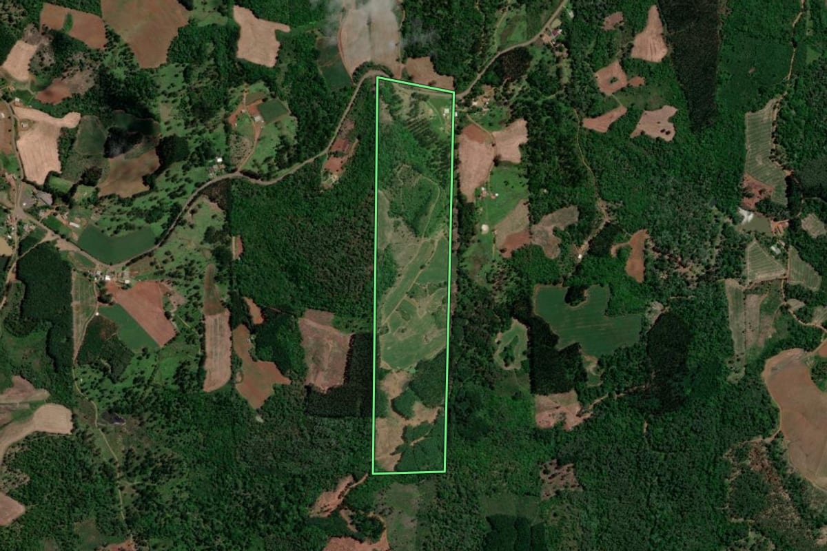Imagem de satélite do imóvel rural em Bituruna (PR), com o contorno declarado no CAR desenhado por cima.