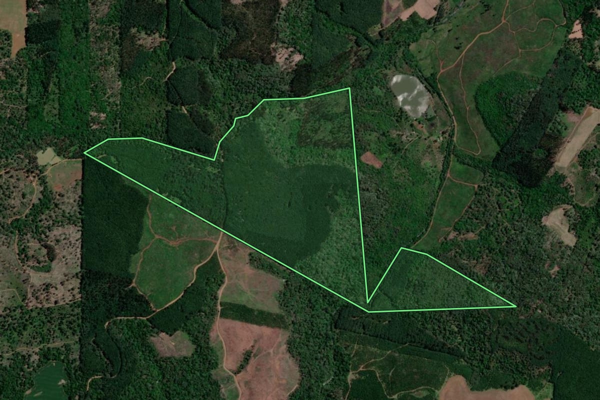 Imagem de satélite do imóvel rural em Bituruna (PR), com o contorno declarado no CAR desenhado por cima.
