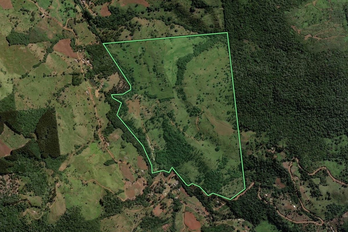 Imagem de satélite do imóvel rural em Bituruna (PR), com o contorno declarado no CAR desenhado por cima.