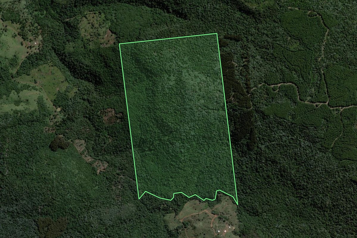 Imagem de satélite do imóvel rural em Bituruna (PR), com o contorno declarado no CAR desenhado por cima.