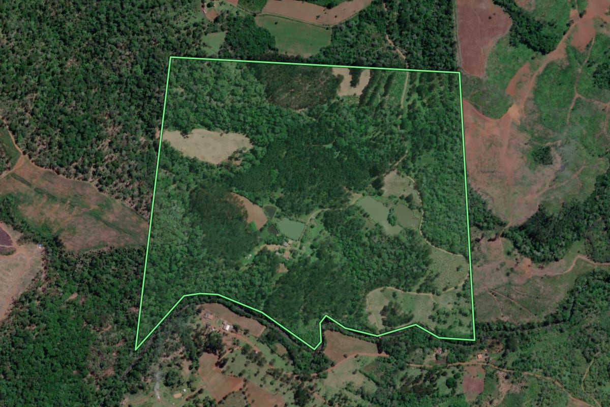Imagem de satélite do imóvel rural em Bituruna (PR), com o contorno declarado no CAR desenhado por cima.