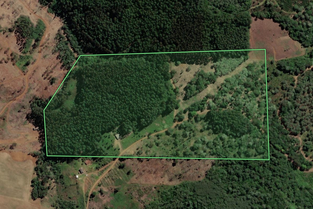 Imagem de satélite do imóvel rural em Bituruna (PR), com o contorno declarado no CAR desenhado por cima.