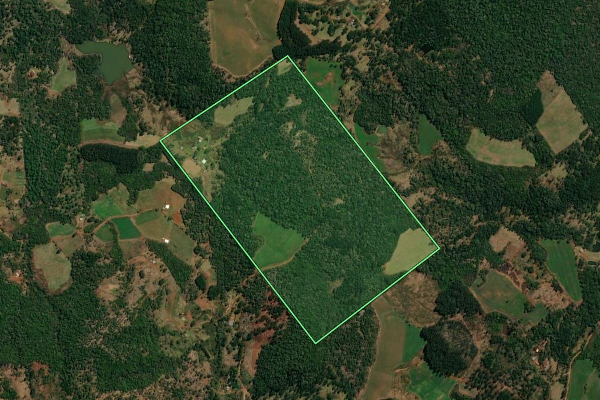 Imagem de satélite do imóvel rural em Bituruna (PR), com o contorno declarado no CAR desenhado por cima.