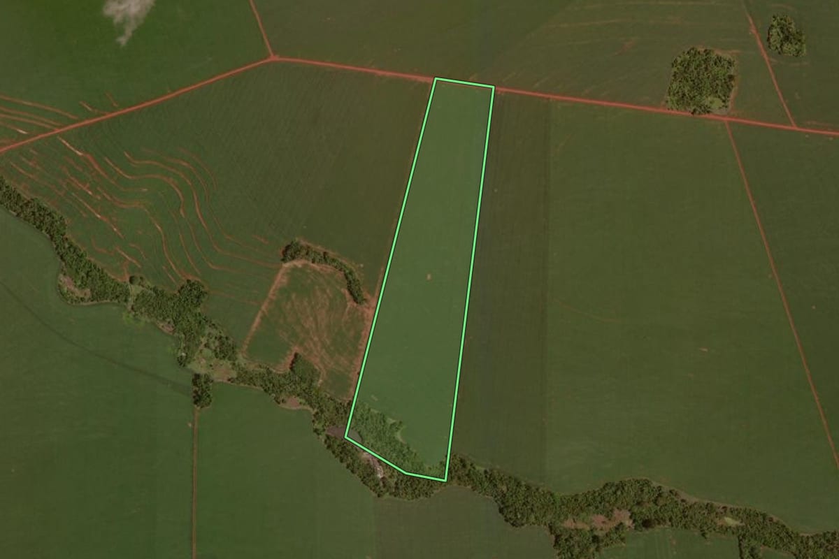 Imagem de satélite do imóvel rural em Boa Esperança (PR), com o contorno declarado no CAR desenhado por cima.
