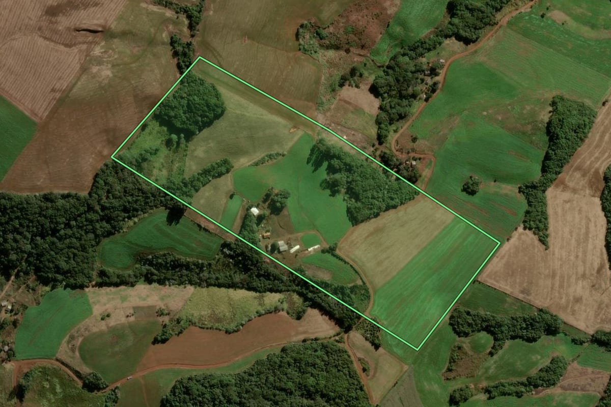 Imagem de satélite do imóvel rural em Boa Ventura de São Roque (PR), com o contorno declarado no CAR desenhado por cima.