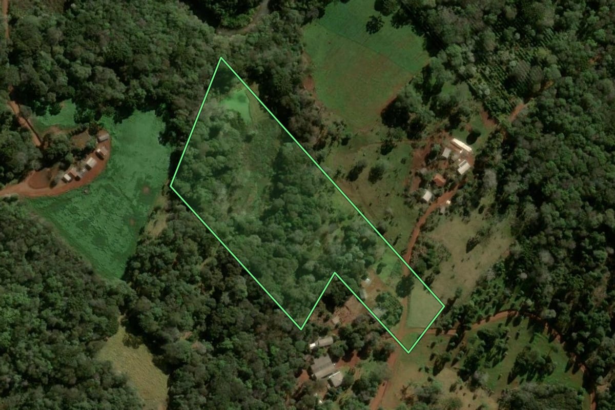 Imagem de satélite do imóvel rural em Boa Ventura de São Roque (PR), com o contorno declarado no CAR desenhado por cima.