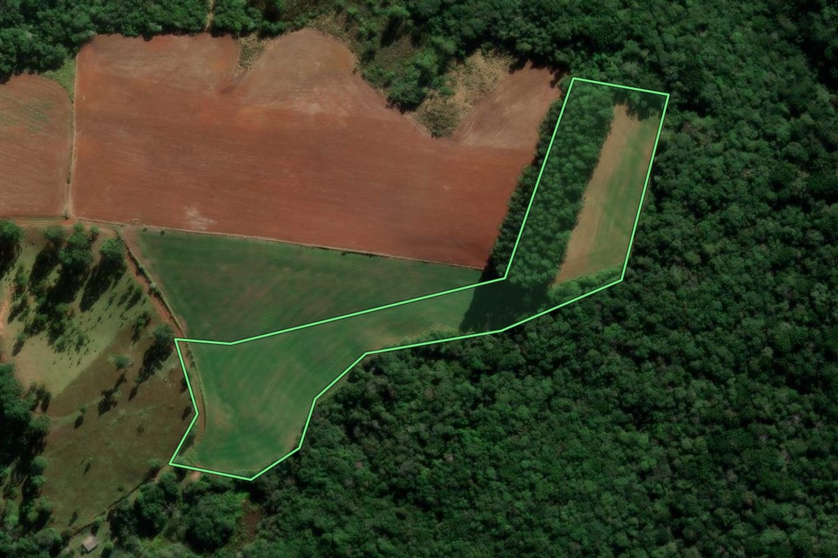 Imagem de satélite do imóvel rural em Boa Ventura de São Roque (PR), com o contorno declarado no CAR desenhado por cima.