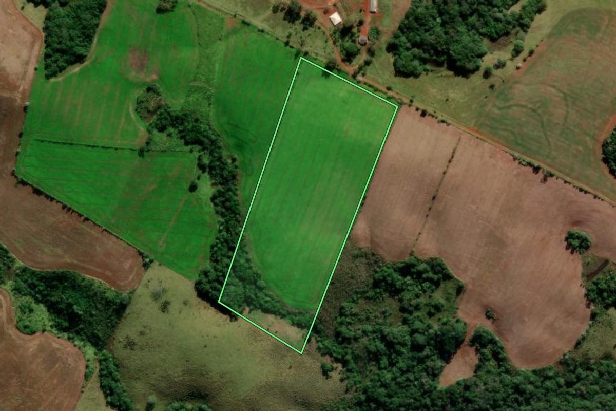 Imagem de satélite do imóvel rural em Boa Ventura de São Roque (PR), com o contorno declarado no CAR desenhado por cima.