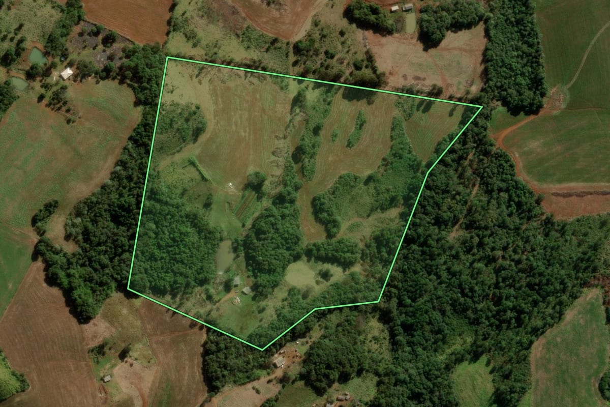 Imagem de satélite do imóvel rural em Boa Ventura de São Roque (PR), com o contorno declarado no CAR desenhado por cima.