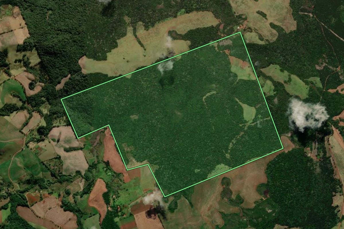 Imagem de satélite do imóvel rural em Boa Ventura de São Roque (PR), com o contorno declarado no CAR desenhado por cima.