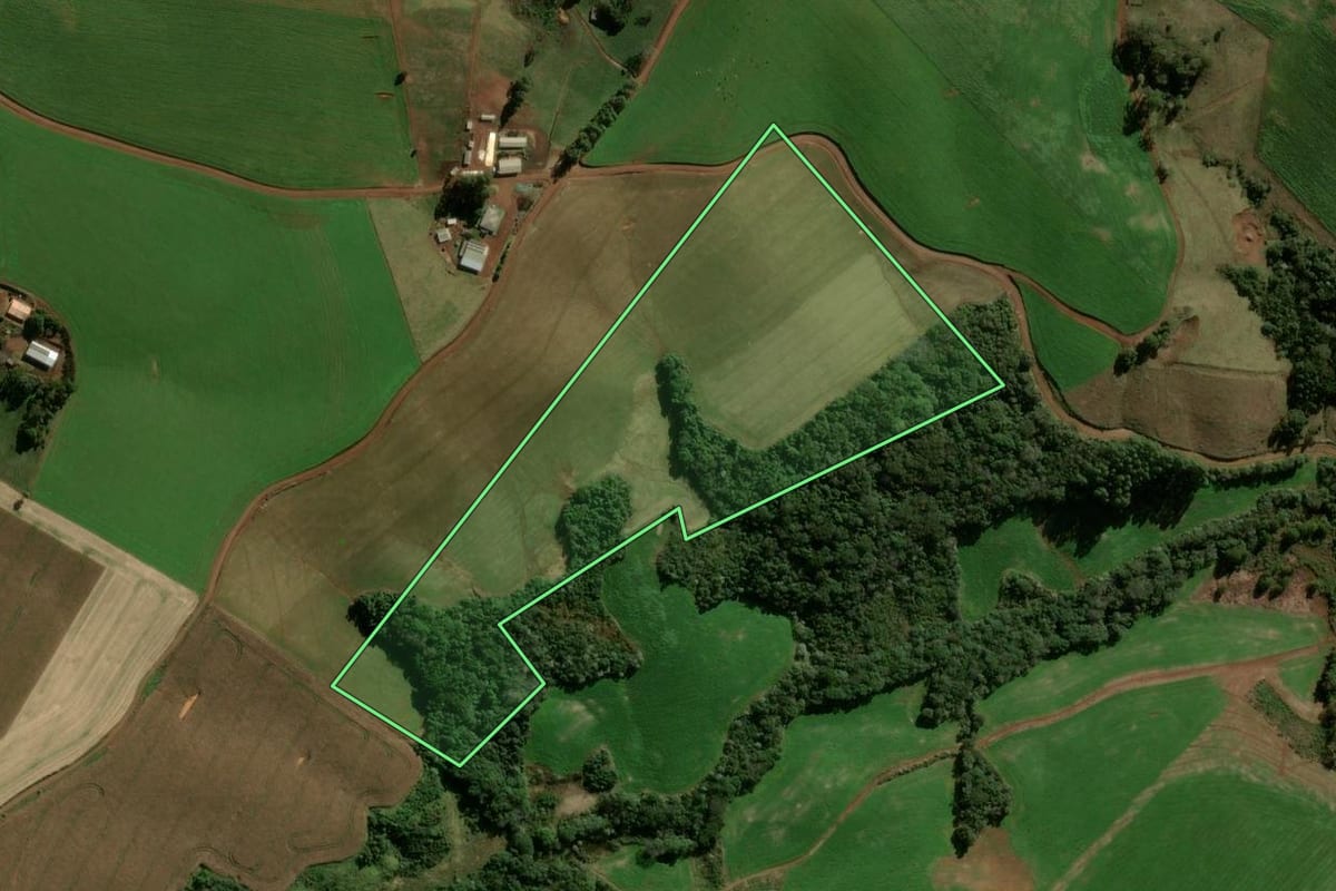 Imagem de satélite do imóvel rural em Boa Ventura de São Roque (PR), com o contorno declarado no CAR desenhado por cima.