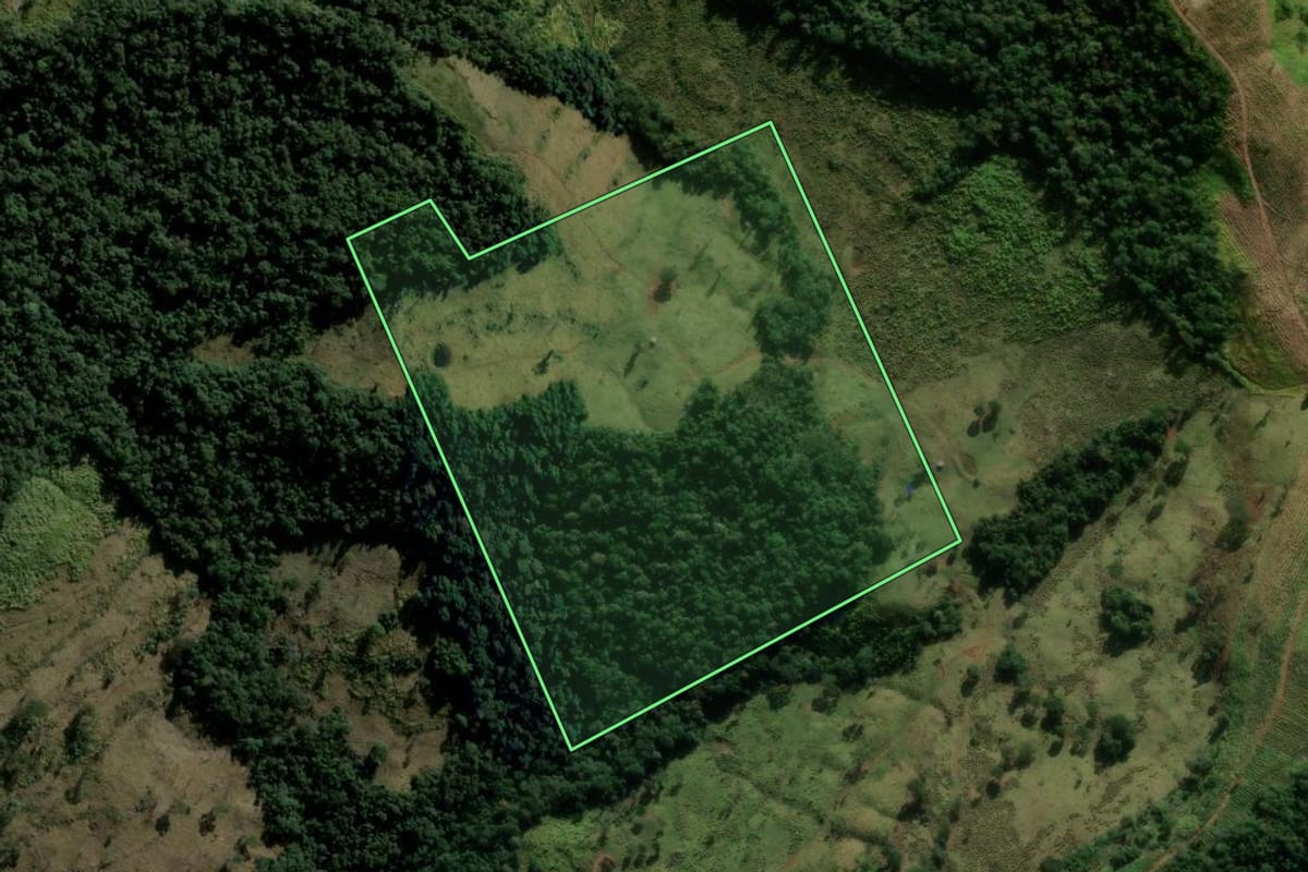 Imagem de satélite do imóvel rural em Boa Ventura de São Roque (PR), com o contorno declarado no CAR desenhado por cima.