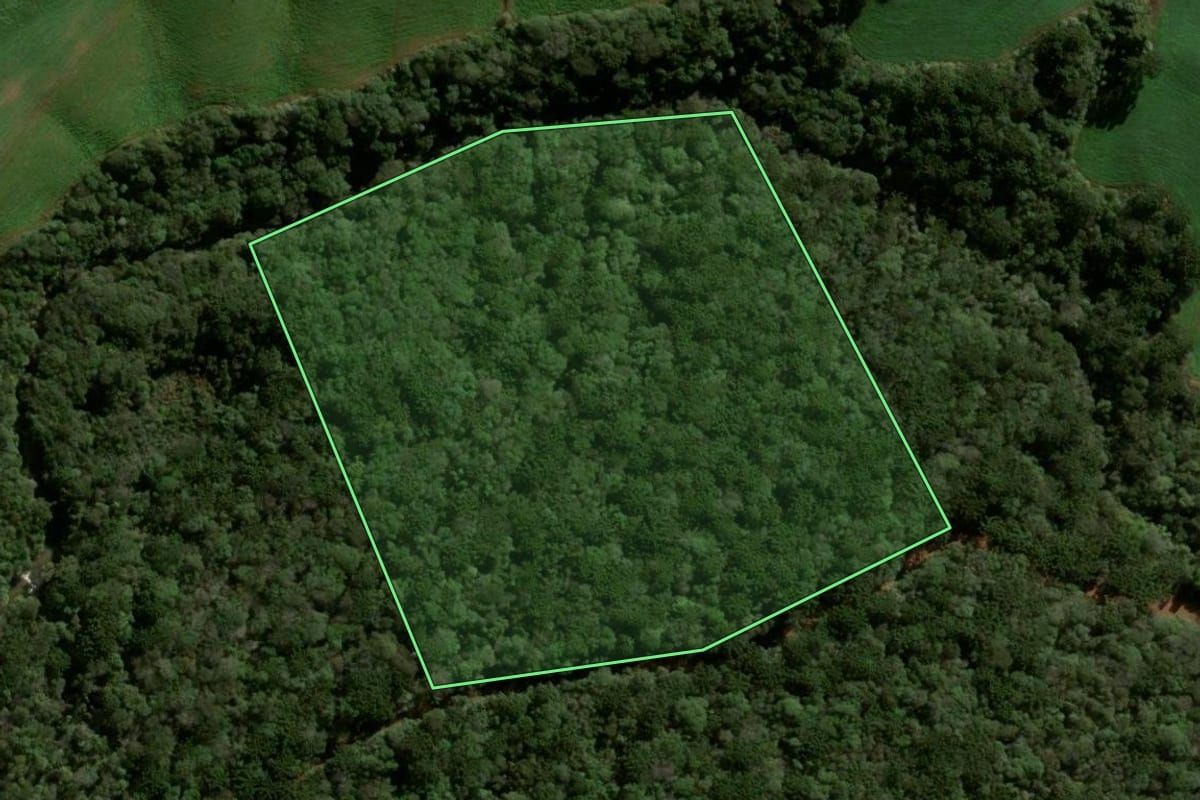 Imagem de satélite do imóvel rural em Boa Ventura de São Roque (PR), com o contorno declarado no CAR desenhado por cima.