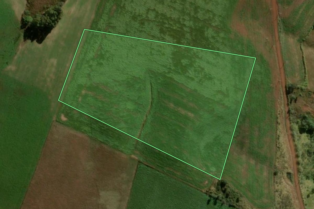 Imagem de satélite do imóvel rural em Boa Ventura de São Roque (PR), com o contorno declarado no CAR desenhado por cima.