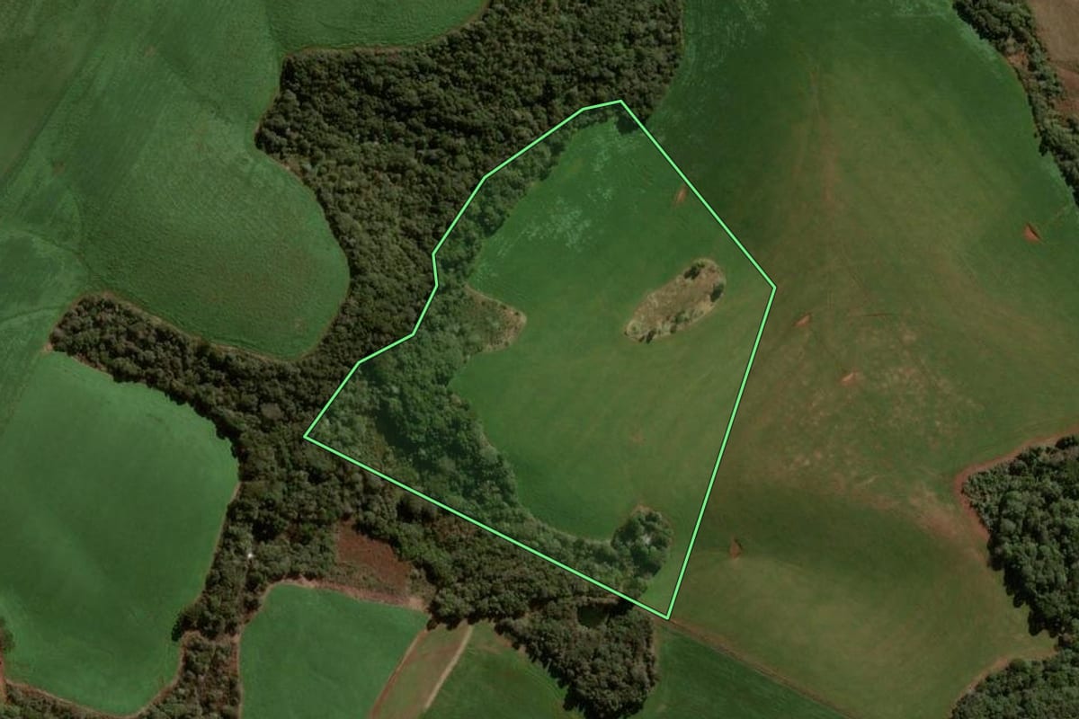 Imagem de satélite do imóvel rural em Boa Ventura de São Roque (PR), com o contorno declarado no CAR desenhado por cima.