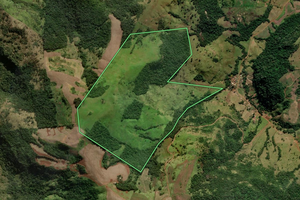 Imagem de satélite do imóvel rural em Boa Ventura de São Roque (PR), com o contorno declarado no CAR desenhado por cima.