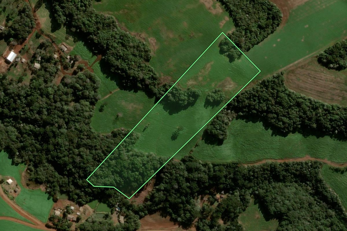 Imagem de satélite do imóvel rural em Boa Ventura de São Roque (PR), com o contorno declarado no CAR desenhado por cima.