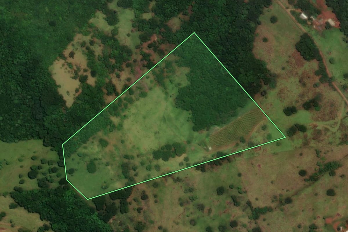 Imagem de satélite do imóvel rural em Boa Vista da Aparecida (PR), com o contorno declarado no CAR desenhado por cima.