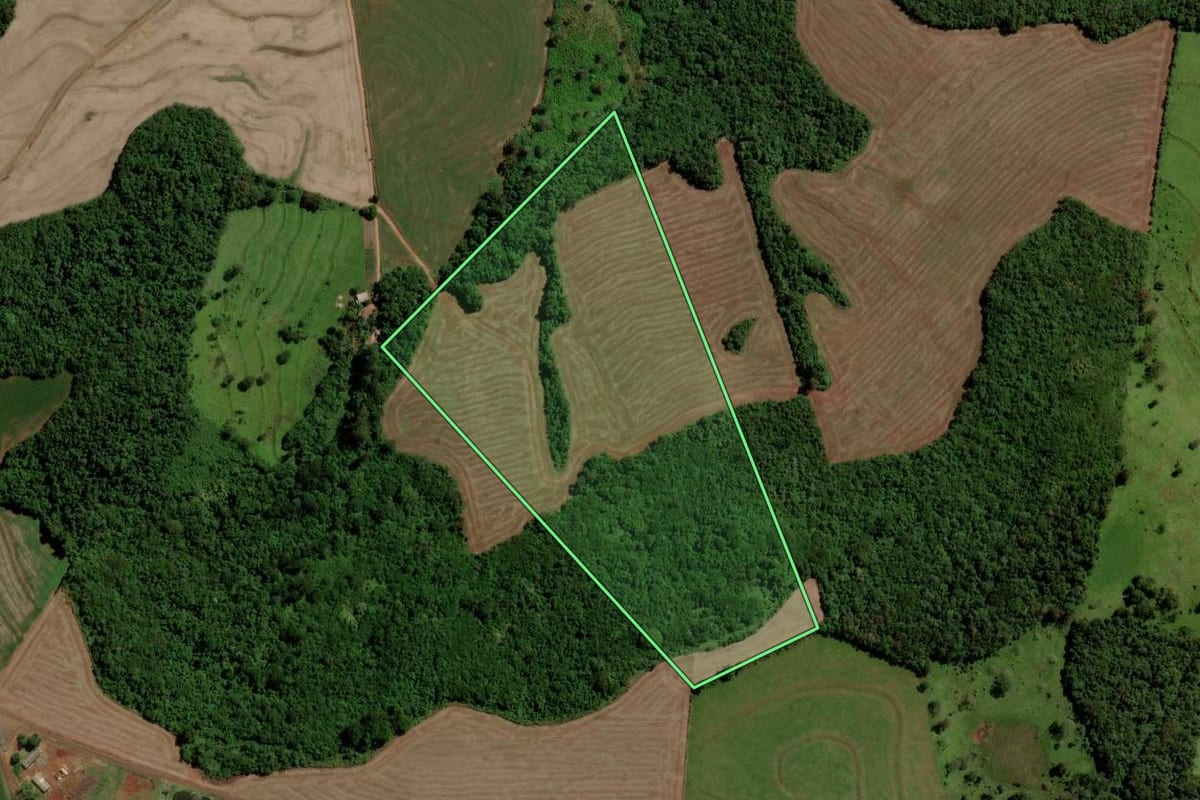Imagem de satélite do imóvel rural em Boa Vista da Aparecida (PR), com o contorno declarado no CAR desenhado por cima.