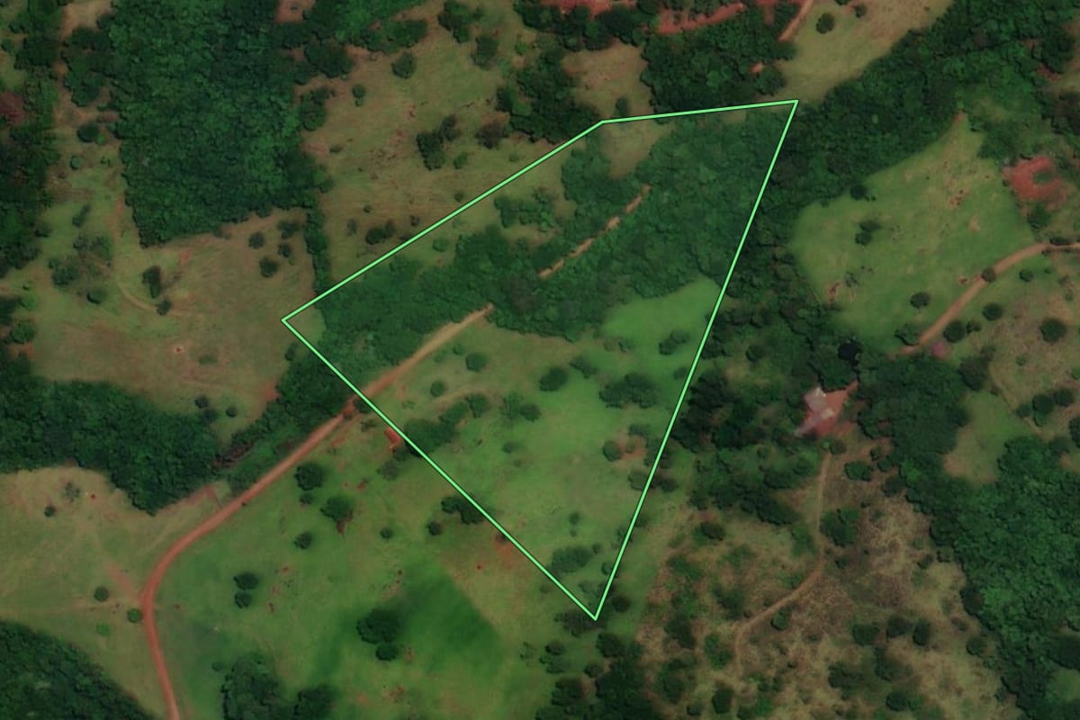 Imagem de satélite do imóvel rural em Boa Vista da Aparecida (PR), com o contorno declarado no CAR desenhado por cima.
