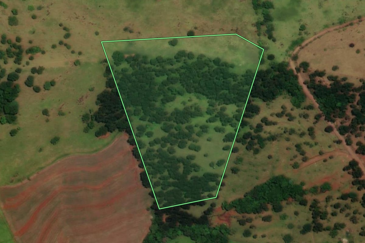 Imagem de satélite do imóvel rural em Boa Vista da Aparecida (PR), com o contorno declarado no CAR desenhado por cima.