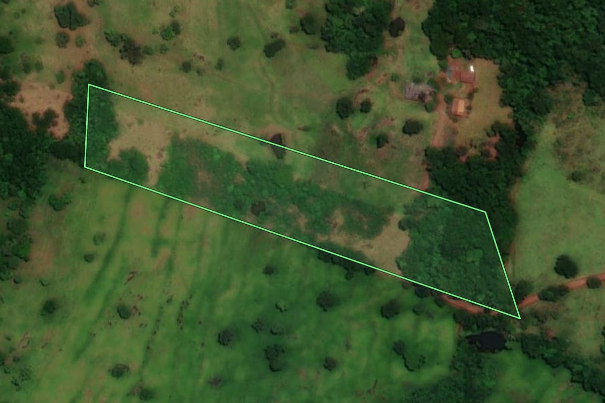 Imagem de satélite do imóvel rural em Boa Vista da Aparecida (PR), com o contorno declarado no CAR desenhado por cima.