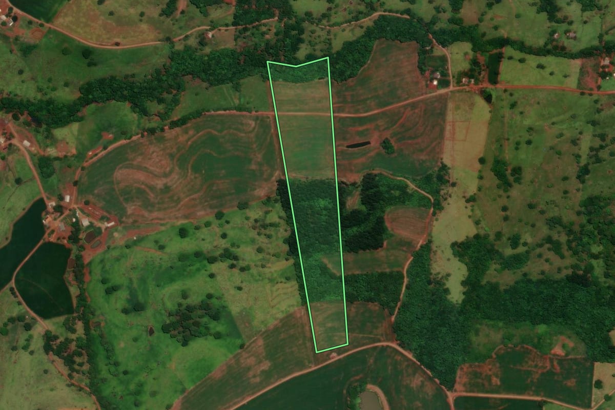 Imagem de satélite do imóvel rural em Boa Vista da Aparecida (PR), com o contorno declarado no CAR desenhado por cima.