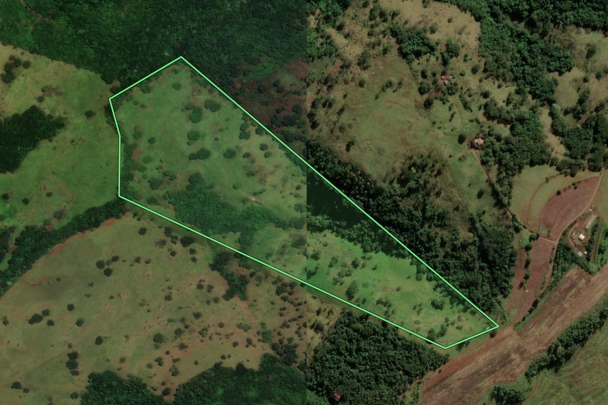 Imagem de satélite do imóvel rural em Boa Vista da Aparecida (PR), com o contorno declarado no CAR desenhado por cima.