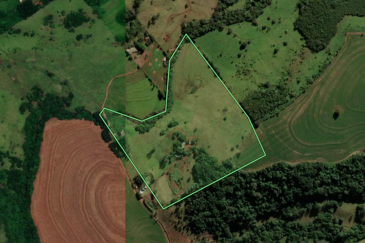 Imagem de satélite do imóvel rural em Boa Vista da Aparecida (PR), com o contorno declarado no CAR desenhado por cima.